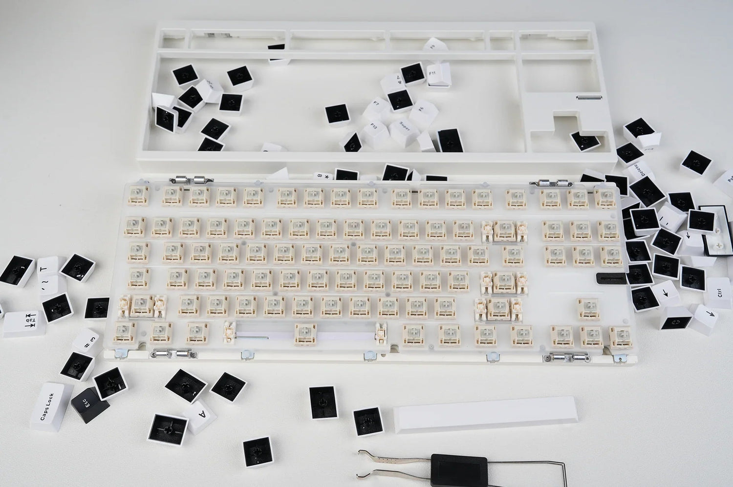 Disassembled mechanical keyboard with white case, beige switches, and scattered black/white keycaps on white surface