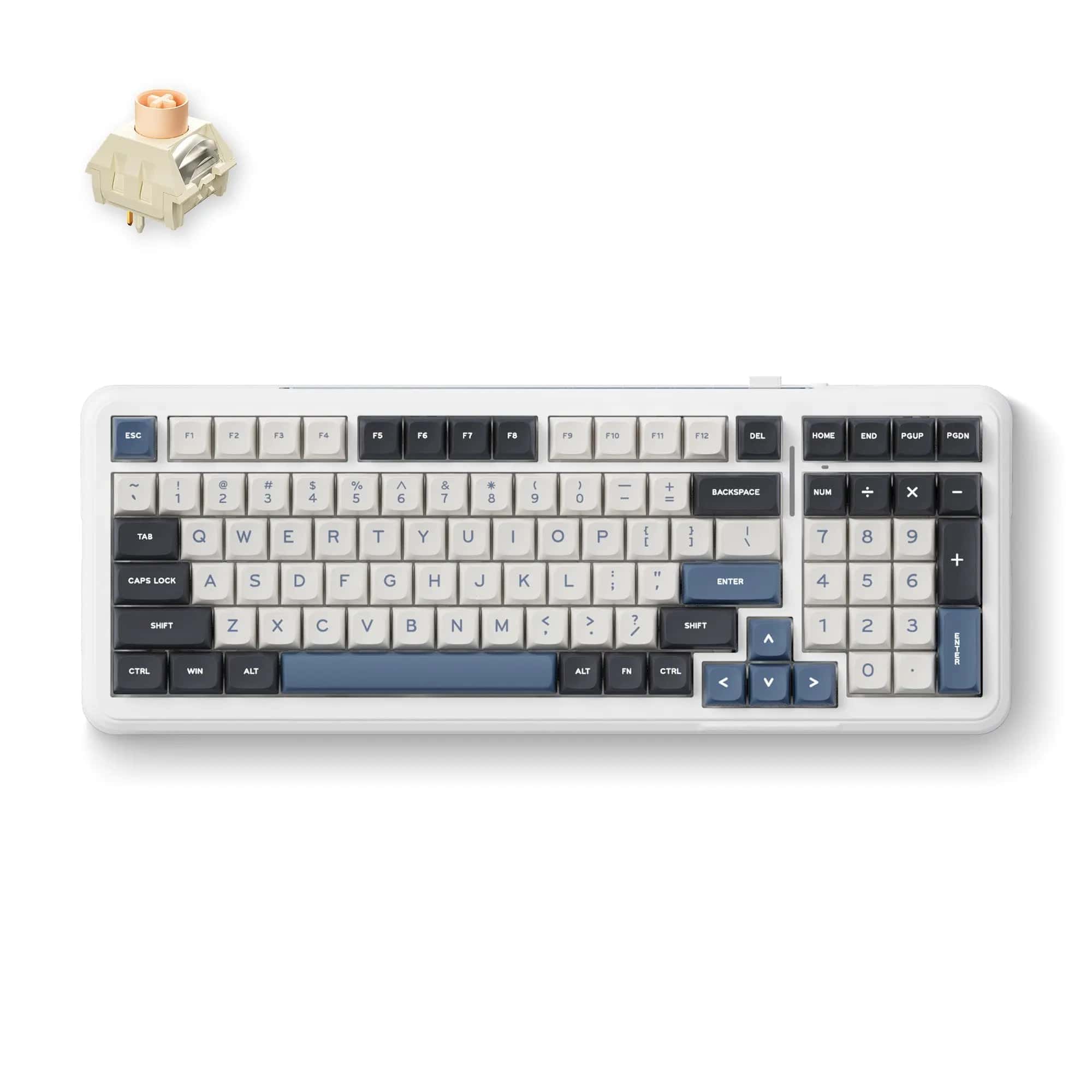 MCHOSE Official Keyboard Navy Blue / Icy Creamsicle Switch MCHOSE K99 Wireless Gasket Mount Mechanical Keyboard