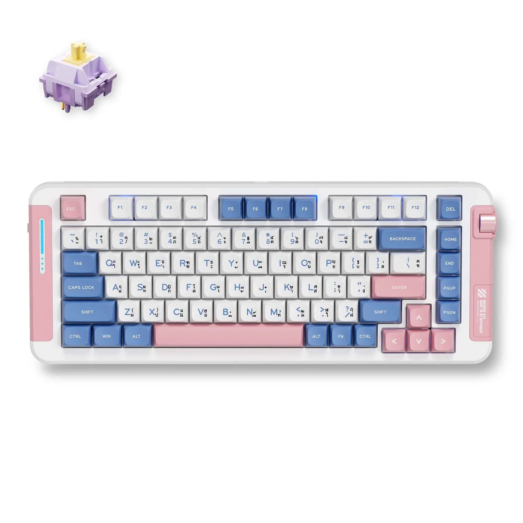 MCHOSE Official Keyboard Pink and Blue / Hyacinth Switch MCHOSE X75 Wireless Gasket Mount Mechanical Special Edition Thai Keyboard